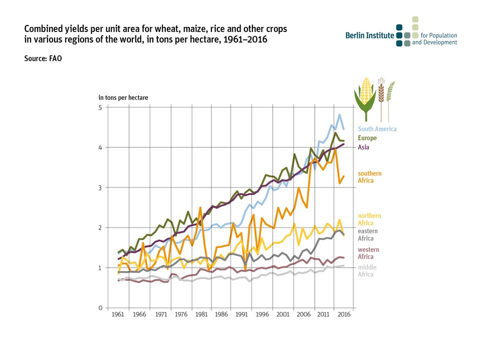 Combined yields per unit area for wheat, maize, rice and other crops