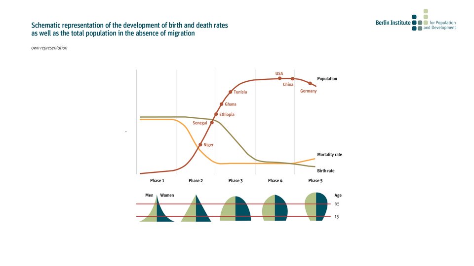 Schematic representation of the development of birth and death rates as well as total population in absence of migration